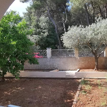 Apartment Pineta With Terrace & Park Wood View Pola Esterno foto