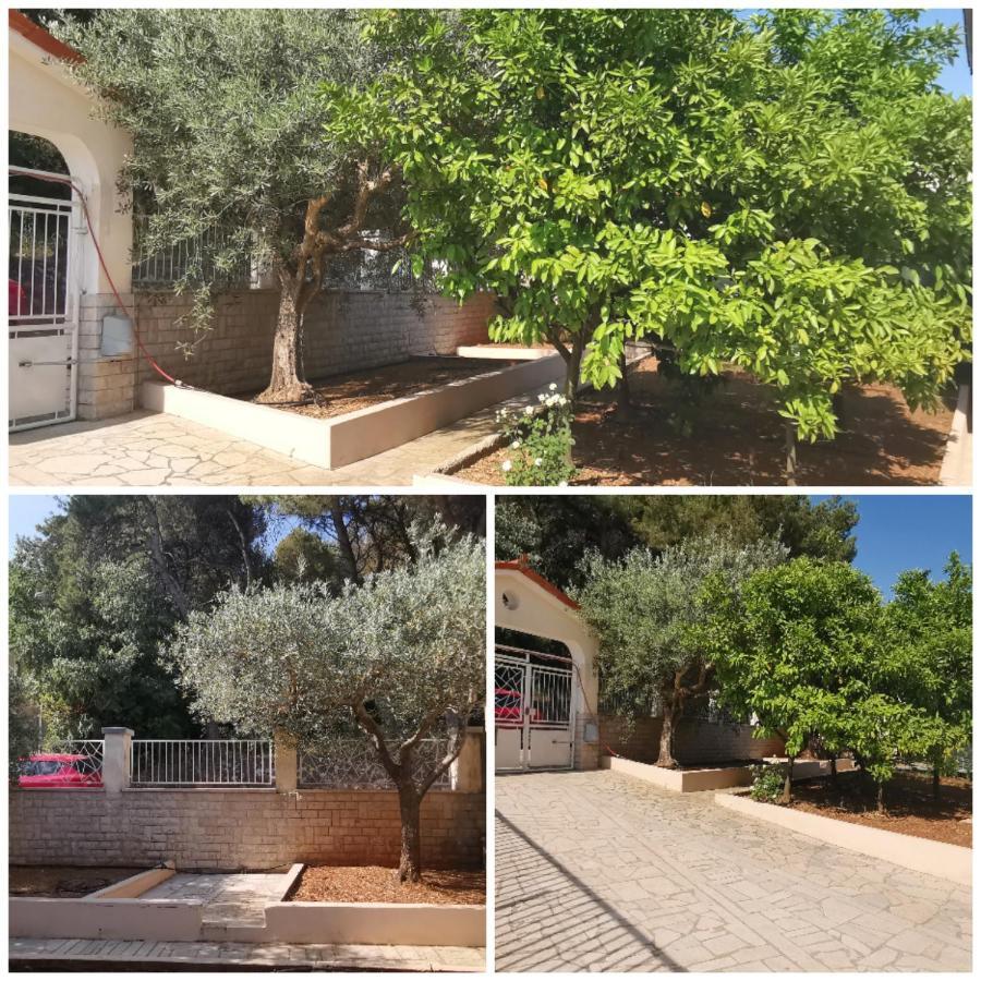 Apartment Pineta With Terrace & Park Wood View Pola Esterno foto
